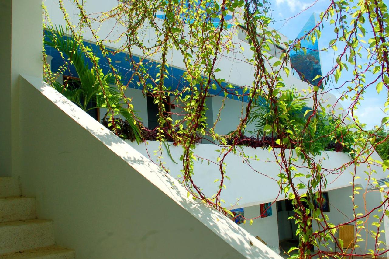 Axkan Tulum Luaran gambar