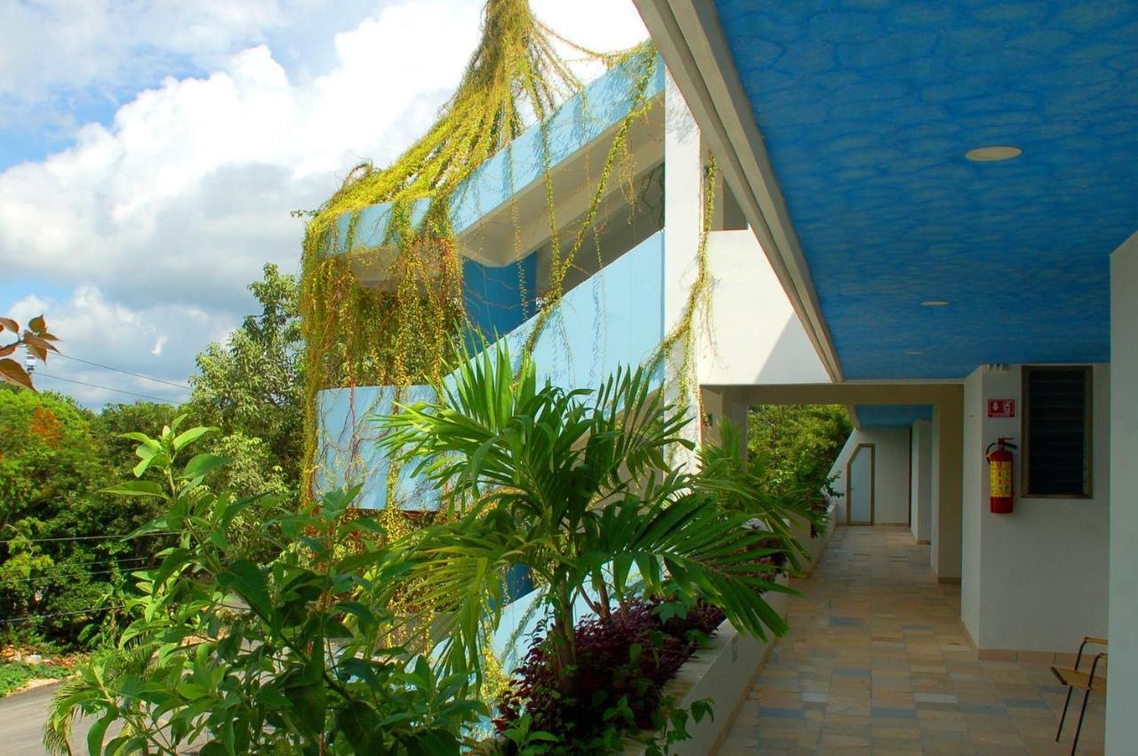 Axkan Tulum Luaran gambar